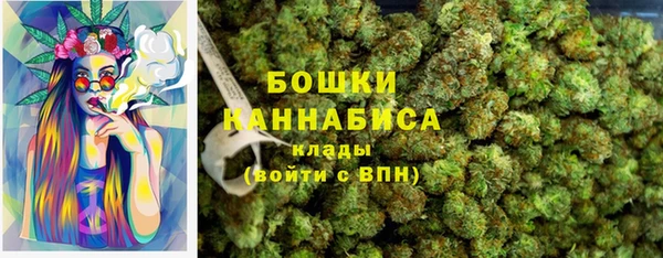 не бодяженный Арсеньев